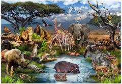 Funbox Dreaming of Africa Puzzle 1000pc