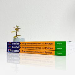 Programmieren lernen mit Python - So einfach! Spielend lernen anhand von anschaulichen Bildern.Für Kinder und Erwachsene - ab 10 Jahre