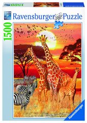 Ravensburger - Sunset in Africa - Jigsaw Puzzle - 1500 Pieces (Ravensburger African Sunset)