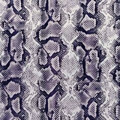 Amazon: Art Python Pattern White Background ...