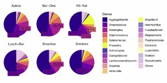 Choosing%20the%20Perfect%20Way%20to%20Visualize%20Microbiome%20Data