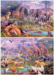 Wild Animals 100 Piece Jigsaw Puzzle by Educa (Window of the World 2 1000 Piece Jigsaw Puzzle)