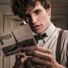 Eddie Redmayne (Fantastic Beasts)