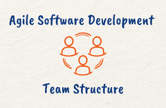 Agile Software Development Team Structure in 2024