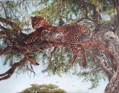 Trademark Fine -Harro Maass 'Leopard In Tree'