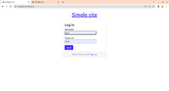 Simple Site Login