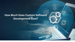 Custom Software Development Costs - Recent Update 2023 - Taction ...