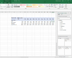 Pivot Table (Microsoft Excel)