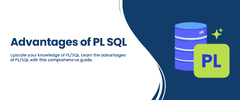 Top%2010%20Advantages%20And%20Disadvantages%20of%20PL/SQL