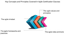 Agile certification courses: How to become a certified Agile ...