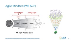 Agile Mindset (PMI ACP) (Agile Practice Guide)