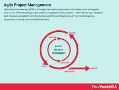 Agile%20Project%20Management%20%7CGo