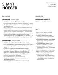 Agile Project Manager Resume Samples | Velvet Jobs