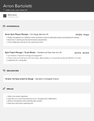 Agile Project Manager Resume Samples | Velvet Jobs