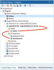 Setting up the IDE for your First Android App • DelphiABall