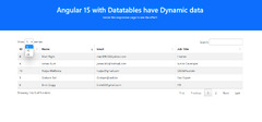 DataTables (Angular 15 Datatable)