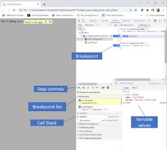 Debugging%20On%20Web%20Browsers%20%7C%20Software%20Testing