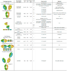 Antibodies |-Text | Taking up Cancer Immunotherapy ...