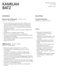 API Developer Resume Samples | Velvet Jobs