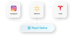 Flutter vs React Native in 2024: End-To-End Comparison