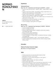 Associate Java Developer Resume Samples | Velvet Jobs