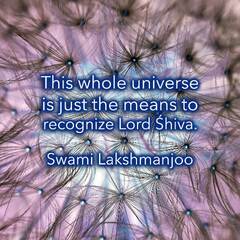 Lord Shiva (Why Shiva Created This Universe)