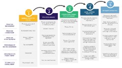 The%20Path%20to%20Process%20Excellence%20Maturity