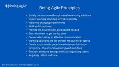 Being Agile Manifesto and Principles – Adapted for Business