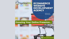 Choosing The Best Ecommerce Web Development Platform For Your Business