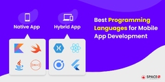 8%20Top%20App%20Development%20Languages%20and%20Frameworks