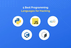 Best%20Programming%20Languages%20For%20Hacking%20In%202024%20-%20InvoZone