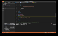 VSCode (Visual Studio Code)