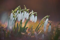 Securing Spring Boot Applications with Keycloak and Spring Security