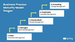 Business Process Maturity Model