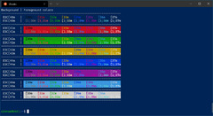 Windows Terminal