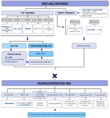 Cancers |-Text | Updates on the Management of Acute ...