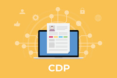 cdp customer data platform concept with laptop and customer data ...