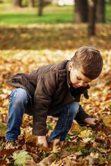 Free Stock Photo of Child playing with autumn leaves in park ...