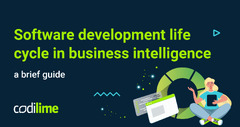 Software%20Development%20Life%20Cycle%20with%20Business%20Intelligence%20%7C%20CodiLime