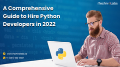 A%20Comprehensive%20Guide%20to%20Hire%20Python%20Developers%20in%202022