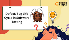 Defect/Bug Life Cycle in Software Testing - Naukri Code 360