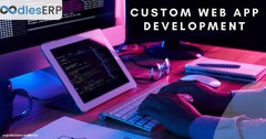 Custom Web App Development: Process, Features, and Technologies