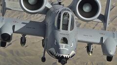 Fairchild Republic A-10 Thunderbolt II (A-10 Thunderbolt II)