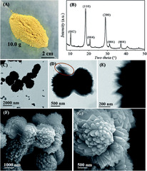 Highly porous nitrogen-doped carbon superstructures derived from ...