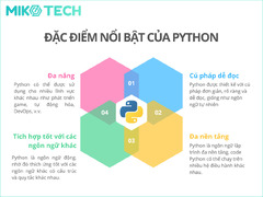 Hướng Dẫn Lập Trình Web Với Python Cho Người Mới 2024