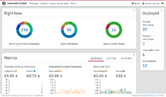 Camunda BPM Runtime