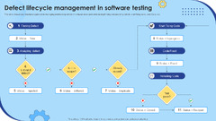 Defect Lifecycle Management in Software Testing