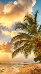 Tropical Paradise Beach Palms Sea Ocean Sunset Beach