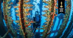 World's Best Scuba Diving Destinations to Visit In 2024 | Scuba Diving