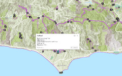 Types of datasets | Documentation | Esri Developer